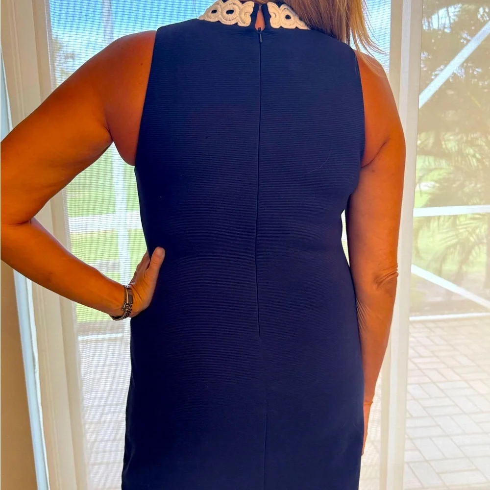 Lilly Pulitzer Navy and white dress.  Fits beautifully.  Enclosed pics are me - Picture 2 of 7